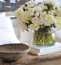 Load image into Gallery viewer, FENG SHUI PACKAGE, "Good Energy" CONSULTATION - VIRTUAL (ONLINE)